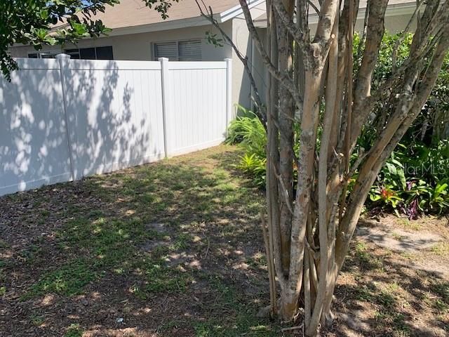 285 ROGERS COURT, Safety Harbor, FL 34695