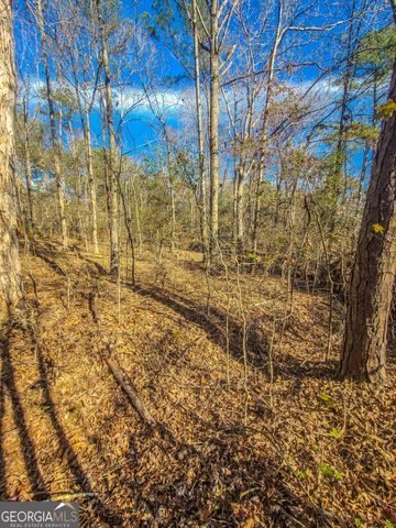 0 Haley Road, Jackson, GA 30233