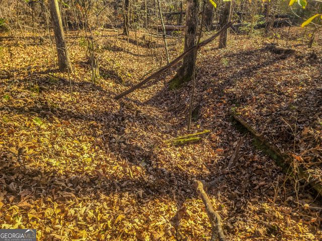 0 Haley Road, Jackson, GA 30233