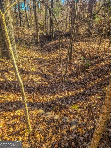 0 Haley Road, Jackson, GA 30233