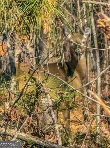 0 Haley Road, Jackson, GA 30233