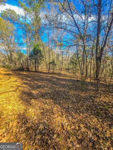 0 Haley Road, Jackson, GA 30233