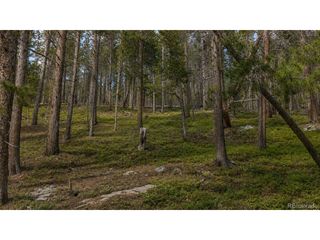 0 Steuart Road, Idaho Springs, CO 80452