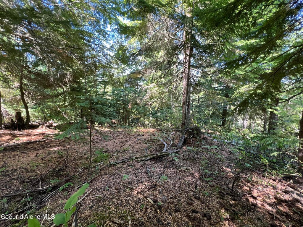 520 Alpine Dr, Fernwood, ID 83830