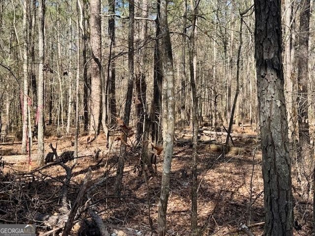 LOT 8 Pierce Chapel Road, Newnan, GA 30263