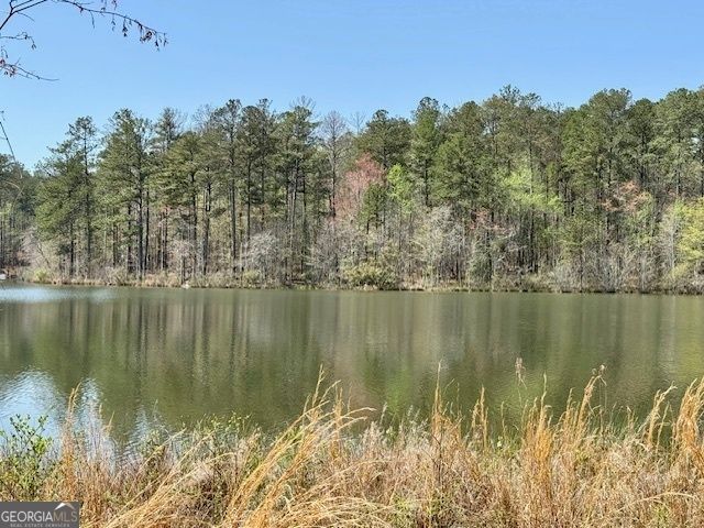 LOT 8 Pierce Chapel Road, Newnan, GA 30263