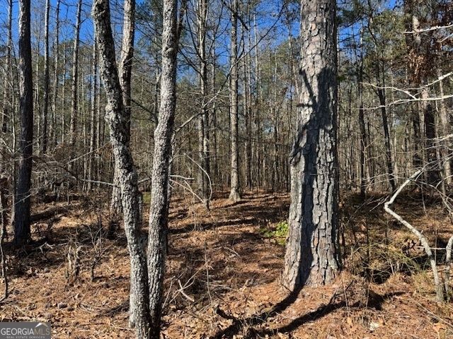 LOT 8 Pierce Chapel Road, Newnan, GA 30263