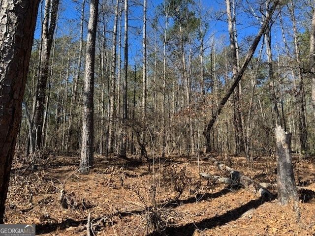 LOT 8 Pierce Chapel Road, Newnan, GA 30263