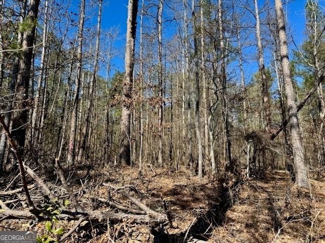 LOT 8 Pierce Chapel Road, Newnan, GA 30263