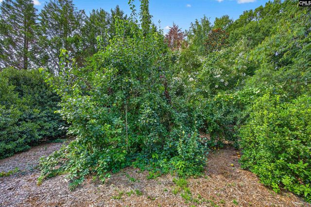 413 Wise Ferry Road, Lexington, SC 29072