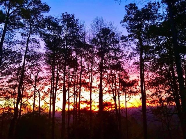 1566 Asheforde Drive, Marietta, GA 30068