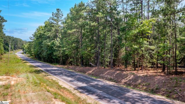 0 Stomp Springs Road, Clinton, SC 29325