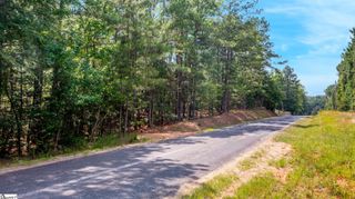 0 Stomp Springs Road, Clinton, SC 29325