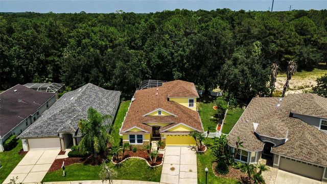 3052 SUNWATCH DRIVE, Wesley Chapel, FL 33544