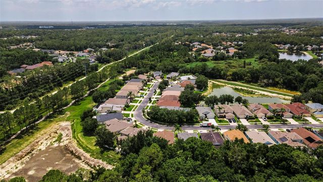 3052 SUNWATCH DRIVE, Wesley Chapel, FL 33544