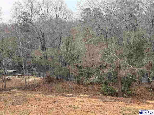 90 Roberts Ln, Salters, SC 29590