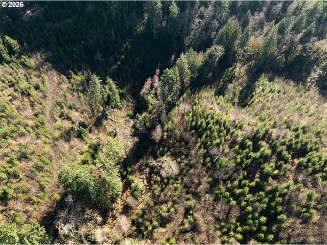 43902 Ne COLUMBIA TIE Rd, Amboy, WA 98601