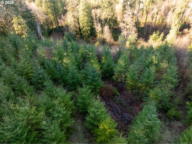 43902 Ne COLUMBIA TIE Rd, Amboy, WA 98601