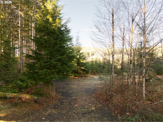 43902 Ne COLUMBIA TIE Rd, Amboy, WA 98601