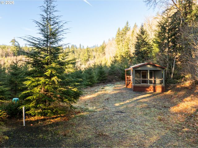 43902 Ne COLUMBIA TIE Rd, Amboy, WA 98601