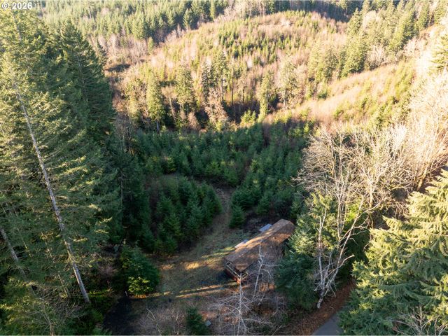 43902 Ne COLUMBIA TIE Rd, Amboy, WA 98601