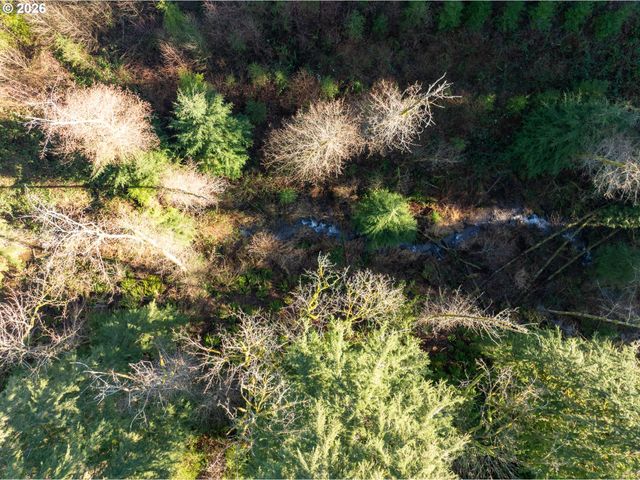 43902 Ne COLUMBIA TIE Rd, Amboy, WA 98601