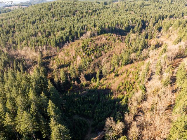 43902 Ne COLUMBIA TIE Rd, Amboy, WA 98601