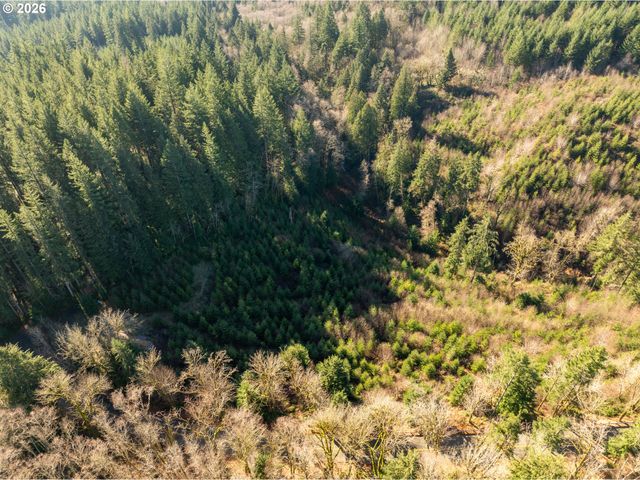 43902 Ne COLUMBIA TIE Rd, Amboy, WA 98601