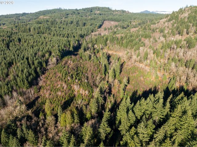 43902 Ne COLUMBIA TIE Rd, Amboy, WA 98601