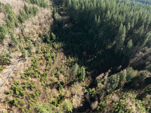 43902 Ne COLUMBIA TIE Rd, Amboy, WA 98601