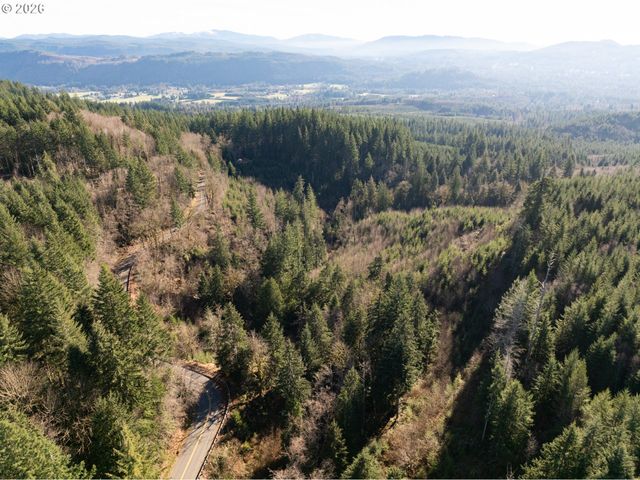 43902 Ne COLUMBIA TIE Rd, Amboy, WA 98601