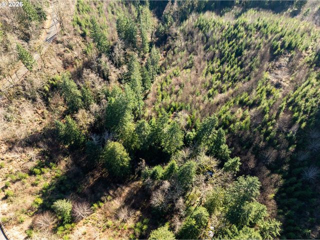 43902 Ne COLUMBIA TIE Rd, Amboy, WA 98601