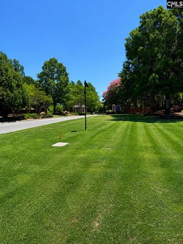 539 Harbour Pointe Drive, Columbia, SC 29229