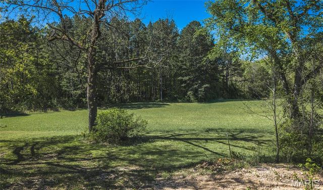 1455 Madison 441, Fredericktown, MO 63645