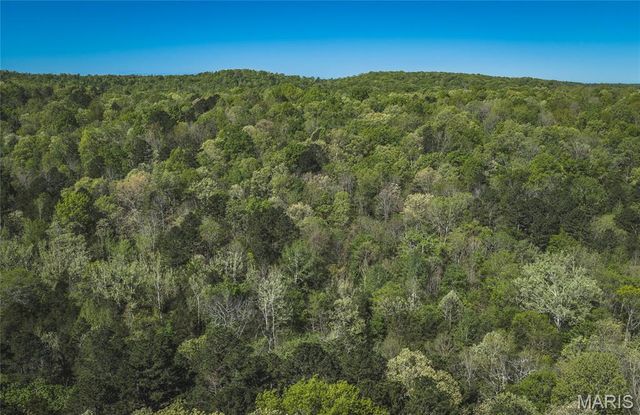 1455 Madison 441, Fredericktown, MO 63645