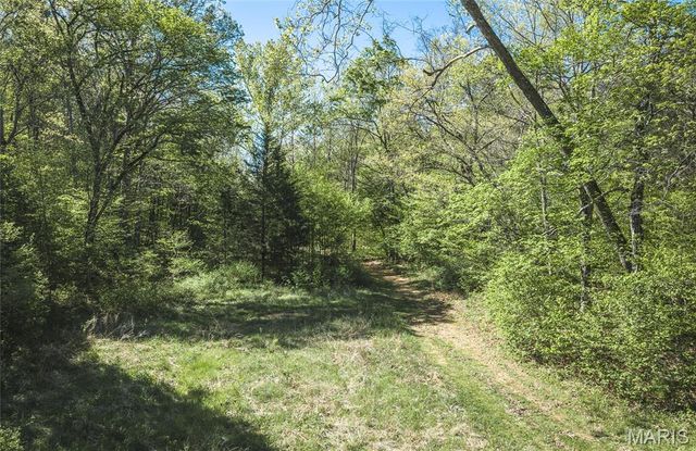 1455 Madison 441, Fredericktown, MO 63645