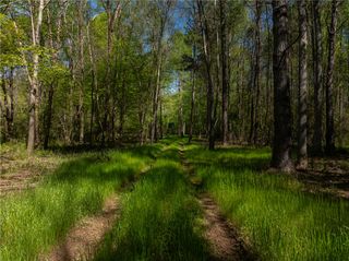 Mill Pine Farm 110 Mill Pine Road, Liberty, SC 29657