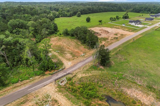 24827 Two Rivers Road, Montgomery, TX 77316