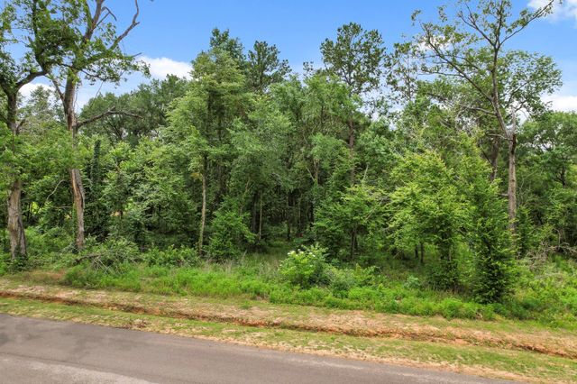 24827 Two Rivers Road, Montgomery, TX 77316