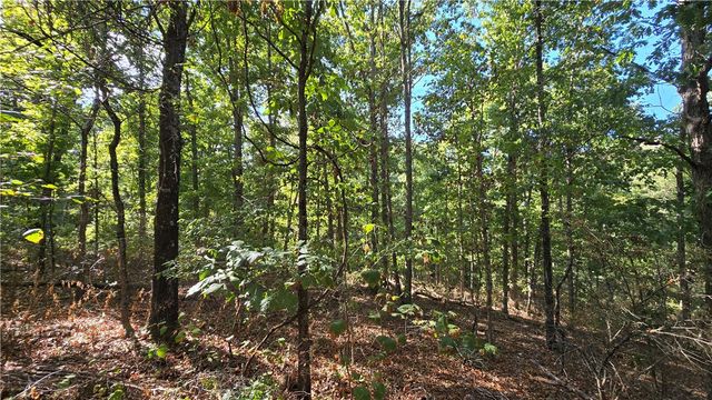 5 Moulin Lane, Bella Vista, AR 72715