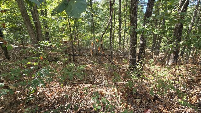 5 Moulin Lane, Bella Vista, AR 72715