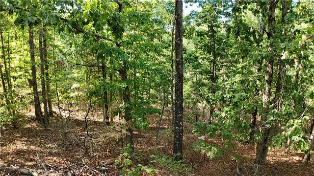 5 Moulin Lane, Bella Vista, AR 72715