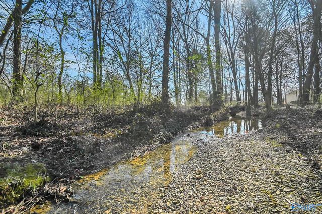 2006 Shady Grove Lane SW, Decatur, AL 35603