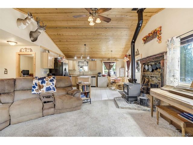 141 Cabin Ln, Guffey, CO 80820