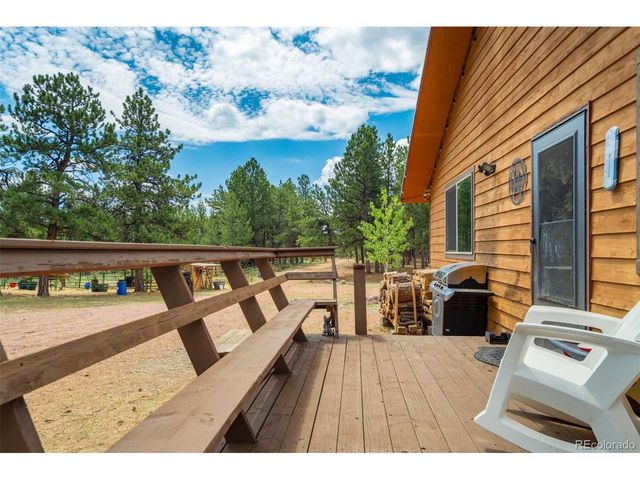 141 Cabin Ln, Guffey, CO 80820