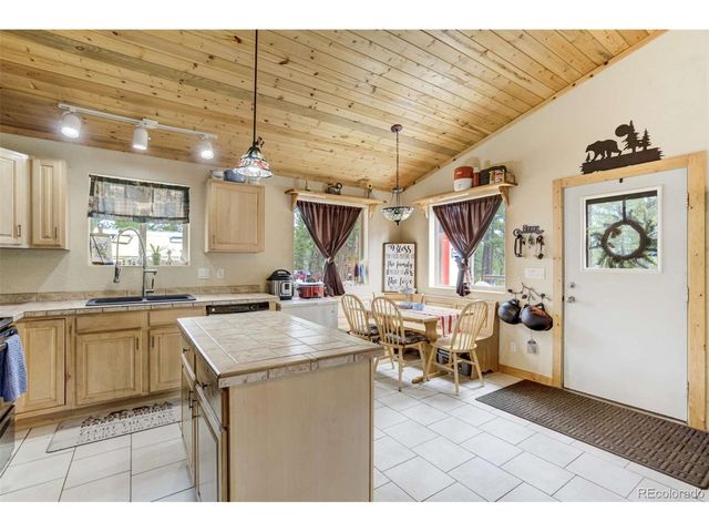141 Cabin Ln, Guffey, CO 80820