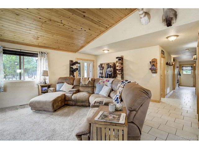 141 Cabin Ln, Guffey, CO 80820