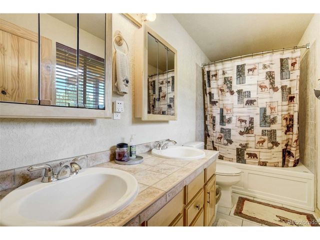 141 Cabin Ln, Guffey, CO 80820