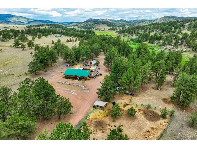 141 Cabin Ln, Guffey, CO 80820