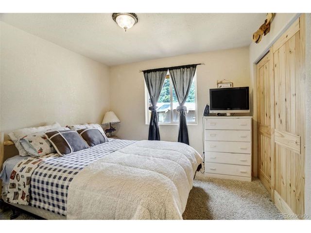 141 Cabin Ln, Guffey, CO 80820